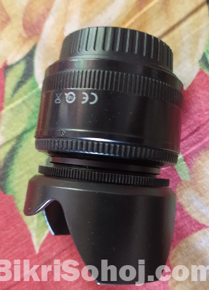 Canon 50mm (yn) prime lens